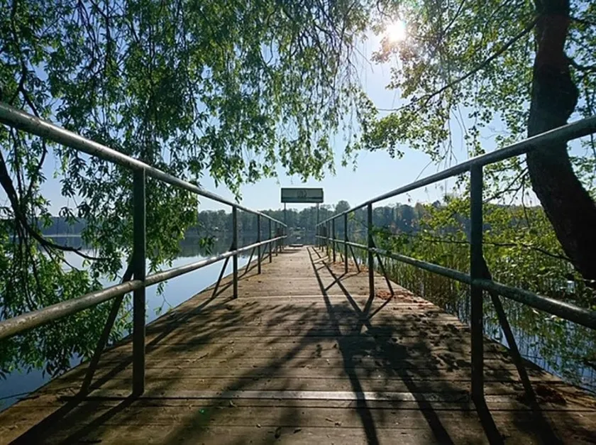 Artist studio with balcony in the forest by the lake - Image 1