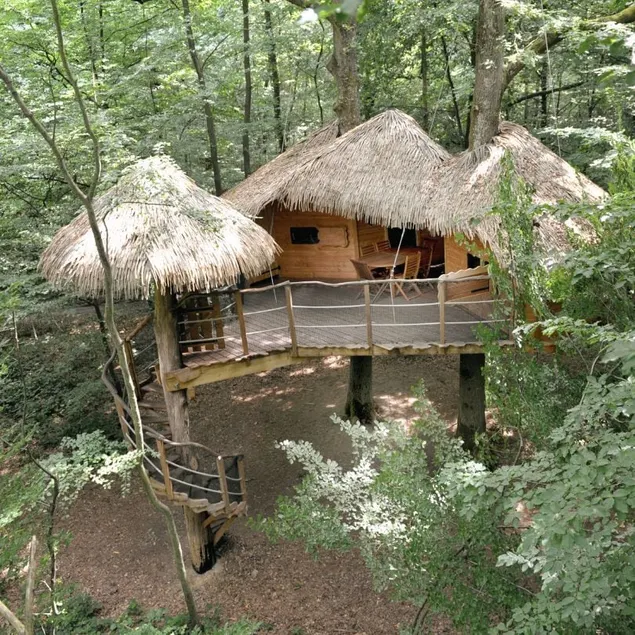Robin Hood Family Cabin - Image 1