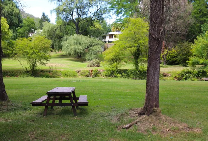 Tree View Cottage - Serenity and charm - Image 1