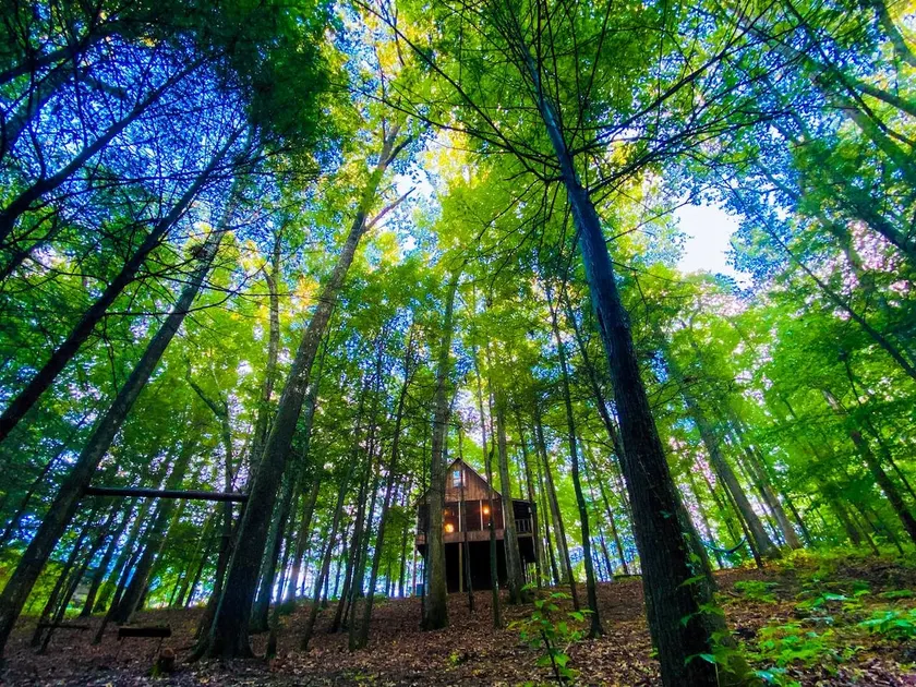 Romantic Cabin with Waterfall & Treehouse - Image 1