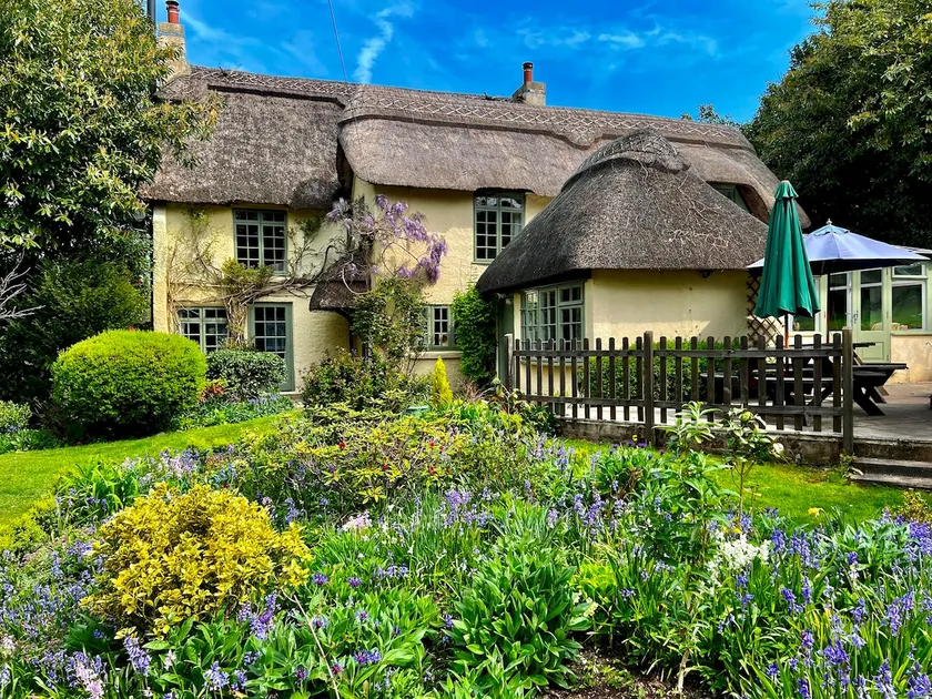Beck Cottage, Wood Green, New Forest UK - Image 1