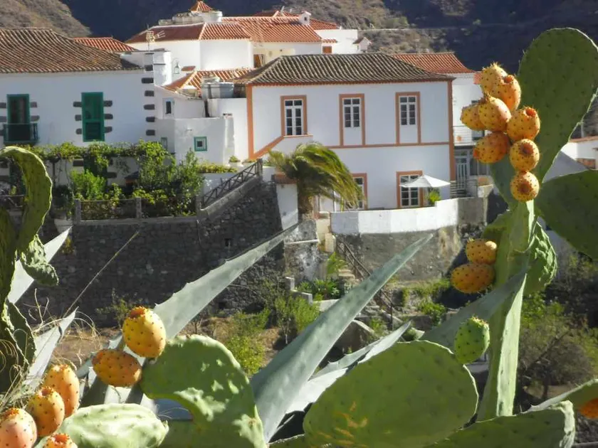 Casa Rural Las Cáscaras Tejeda Gran Canaria - Image 1