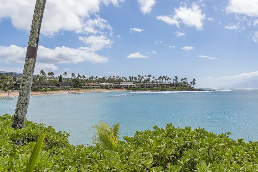 Napili Lani 320 - Image 1