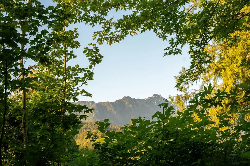 Tree Frog Terrace w/ trails, views, river access - Image 1