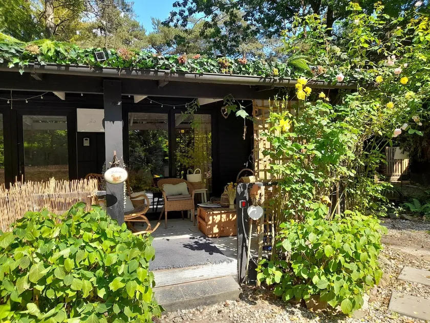 Nature chalet Oud-Turnhout - Image 1