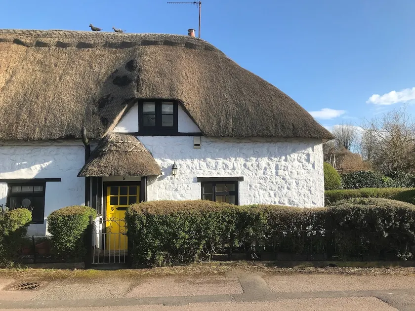 5 Packhorse - Image 1