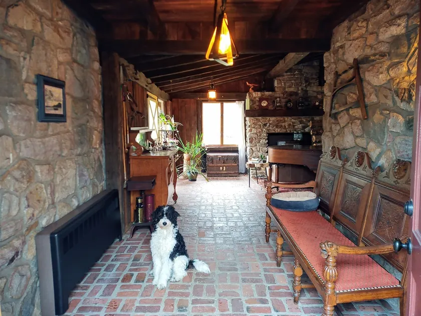 Adventure Doggie's Homestead @ Upper Bucks - No Pe - Image 1