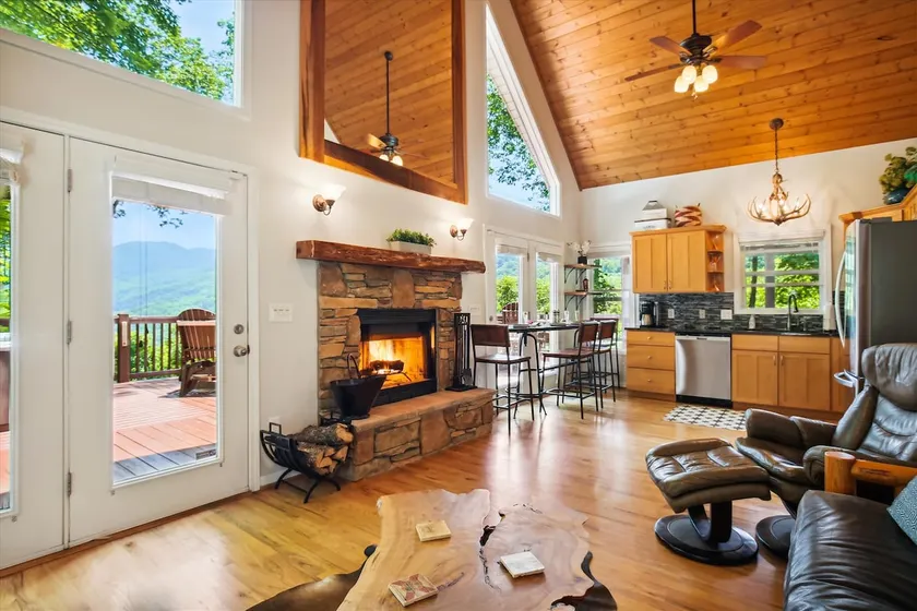 DT Asheville 16 mi Hot Tub Fire Pit Secluded - Image 1