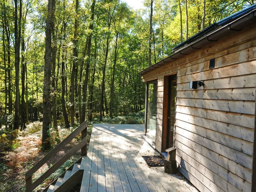 Modern Chalet Located in the Woods - Image 1