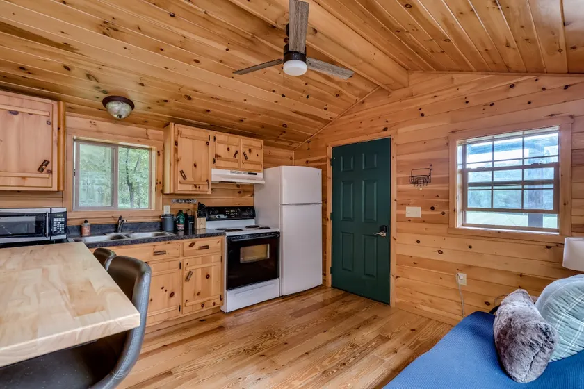 Cozy Rustic Cabin - 1000 Islands Getaway - Image 1