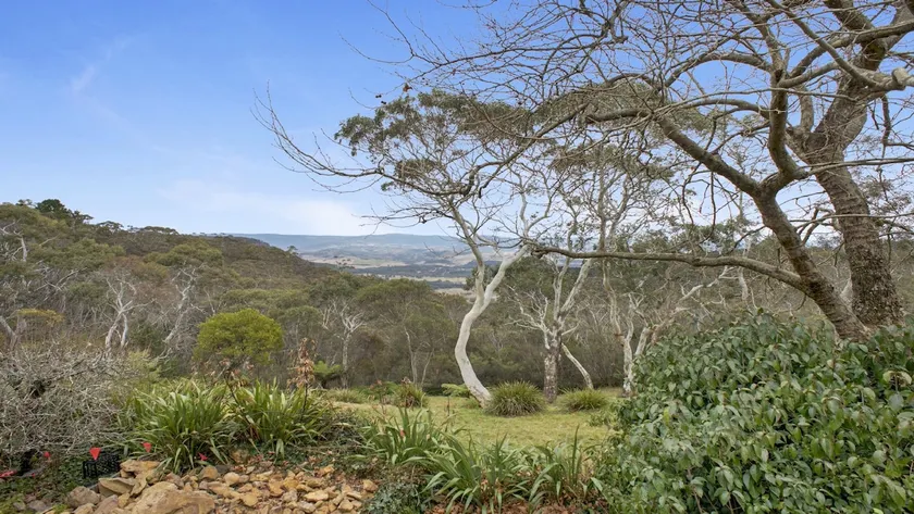 Cecils Chair Blackheath Blue Mountains - Image 1