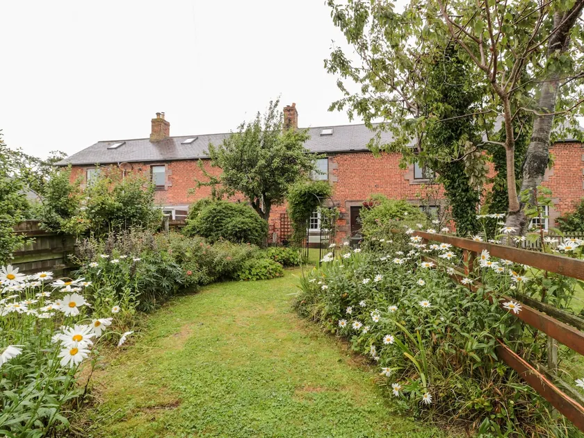 No.4 - Image 1