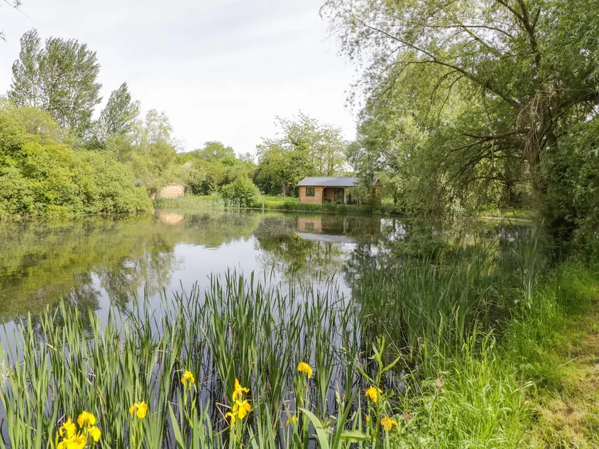 Willow - Image 1