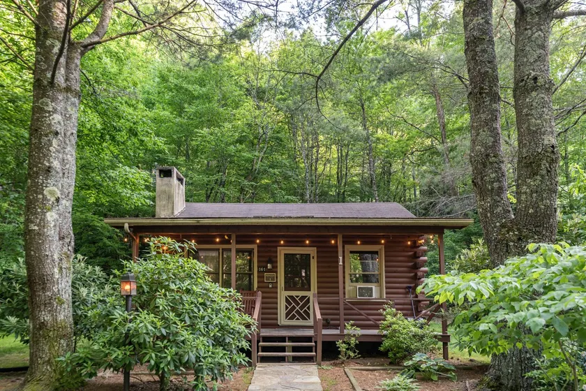 Blue Ridge Cabin | Riverfront • Hot Tub - Image 1