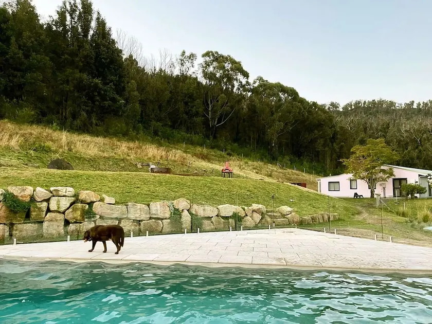 Moosewood House and Cottage, Kangaroo Valley - Image 1