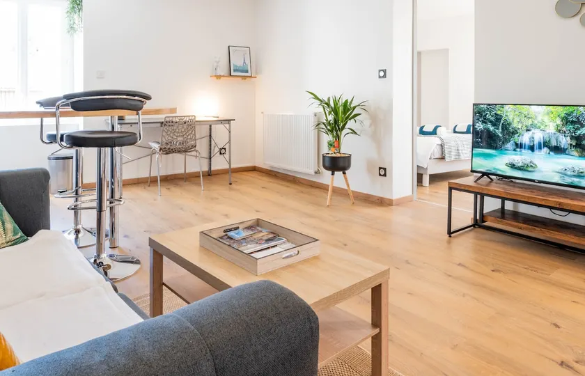 SOTHYS Design Apartment 7 min from Limoges - Image 1