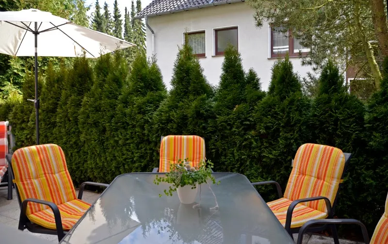 Apartment with south-facing terrace and kitchen (Bonsai Apartment II) - Image 1
