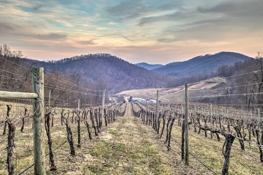 Spacious Faber Home w/ Yard, Steps to Winery! - Image 1