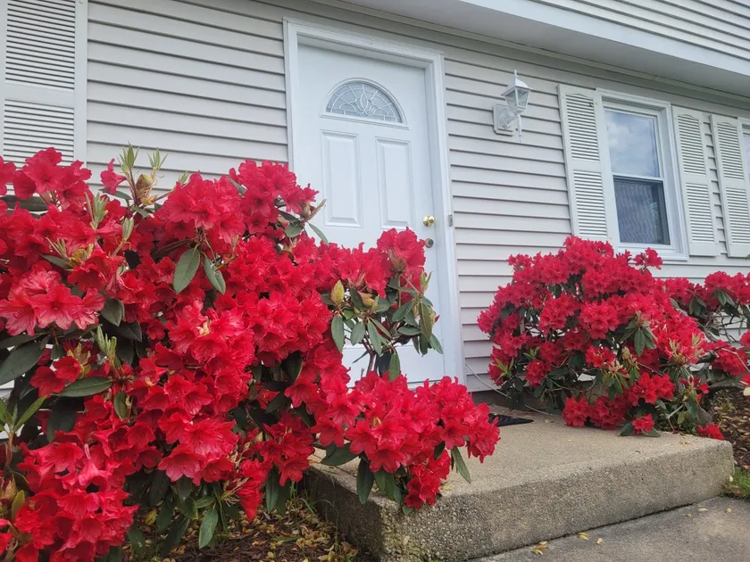 Spacious 5BR Beach House Vacation-walk to Scarborough! - Image 1