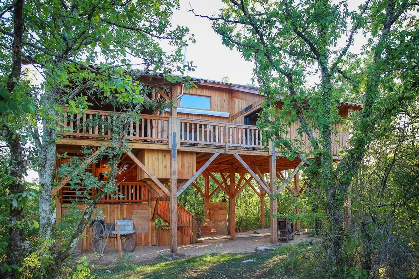 La canopee - Exceptional cabin - Image 1