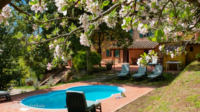 Villa La Pieve piscina - Image 1