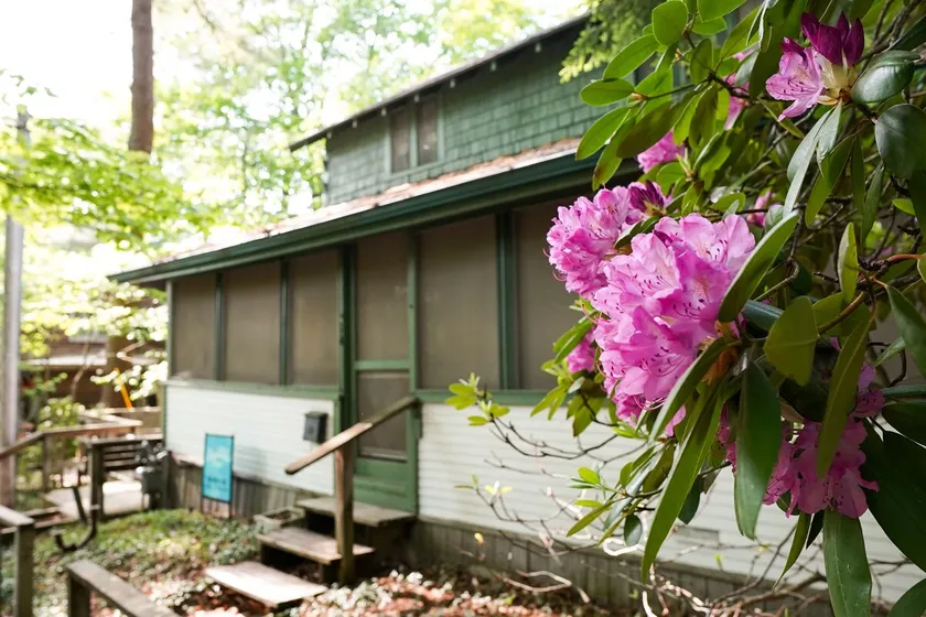 Retraite Duneside: 4 BR Highland Park Cottage voisin du lac MI (6 personnes) - Image 1