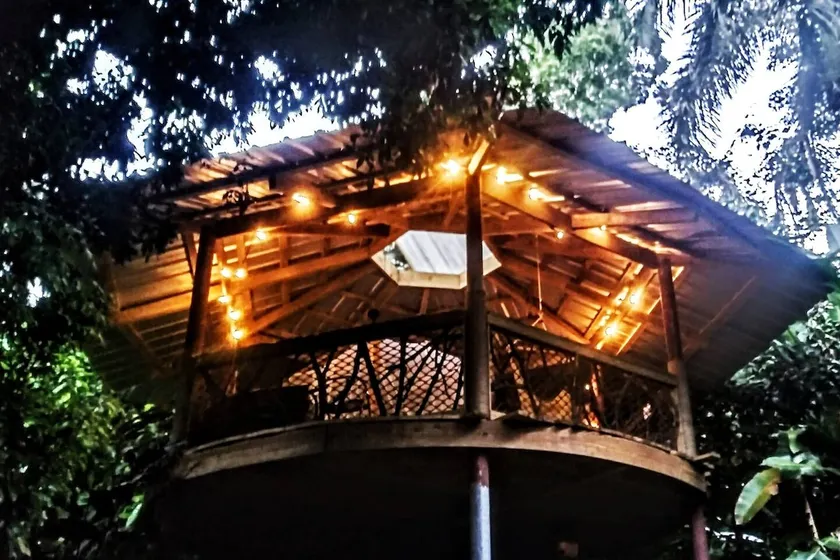 Tiki Jungle Treehouse - Image 1
