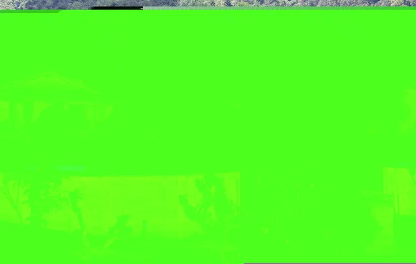 Polla - Image 1