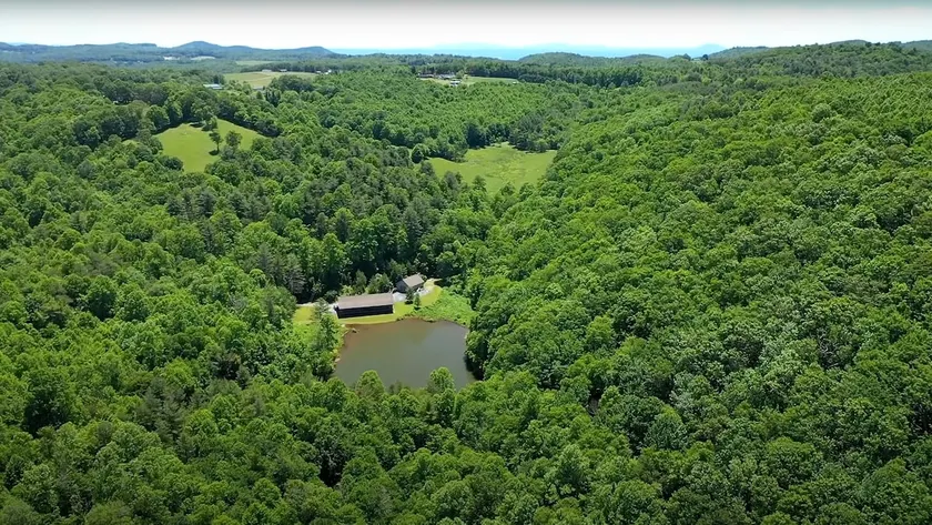 Secluded Mountain Lakehouse, Pets Welcome - Image 1