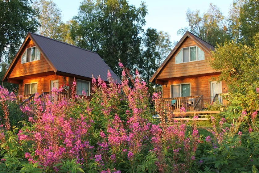 Riverside Cabins at Susitna River Lodge - Image 1