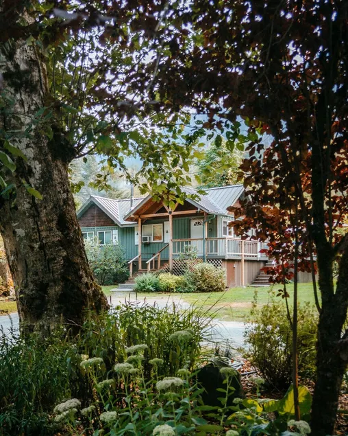 NY kæledyrsvenligt sommerhus i skoven omgivet af bjerge - Image 1