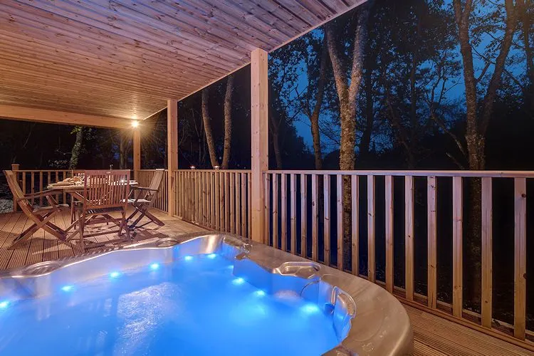 Willow Lodge, Hot Tub, Woodburner - Image 1