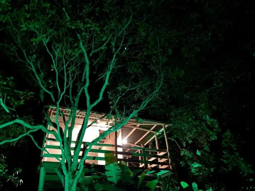 Tree House - Acacia Tree House - Image 1
