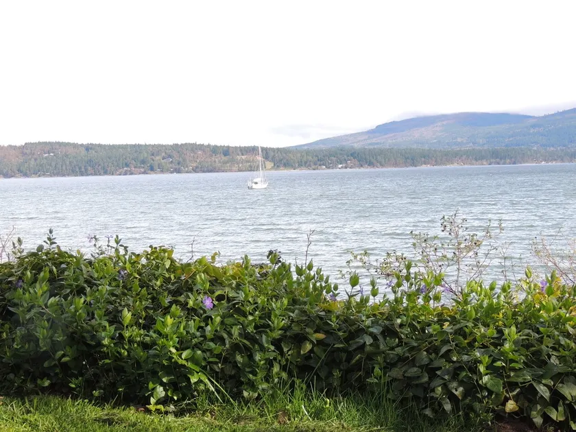 John Wayne's Waterfront Resort - Image 1