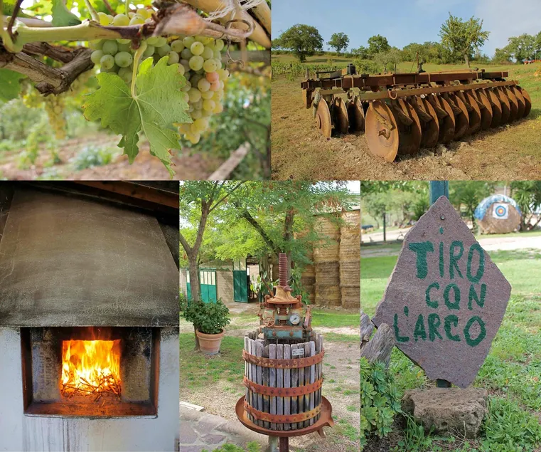 Scansano Farmhouse - Charme Holidays - Image 1