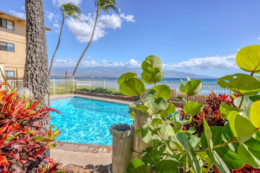 Suite Maui Paradise Condo - Image 1