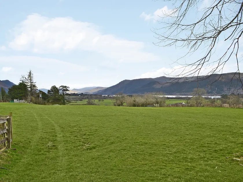 The Beeches - Image 1