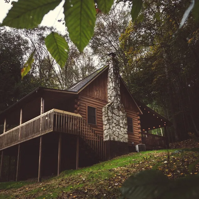Wooded Pet Friendly Cabin w/ Hot Tub & Fireplace - Image 1