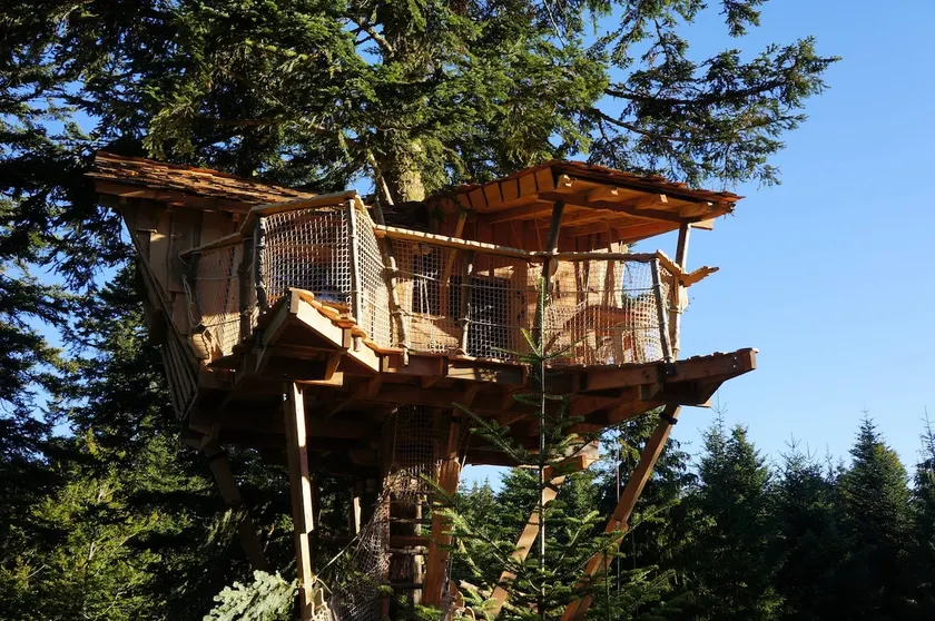 Nest of Kiss tree house - Image 1