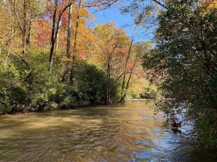 Little River Retreat - Image 1