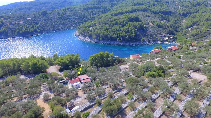 Vacation House Planika - Image 1