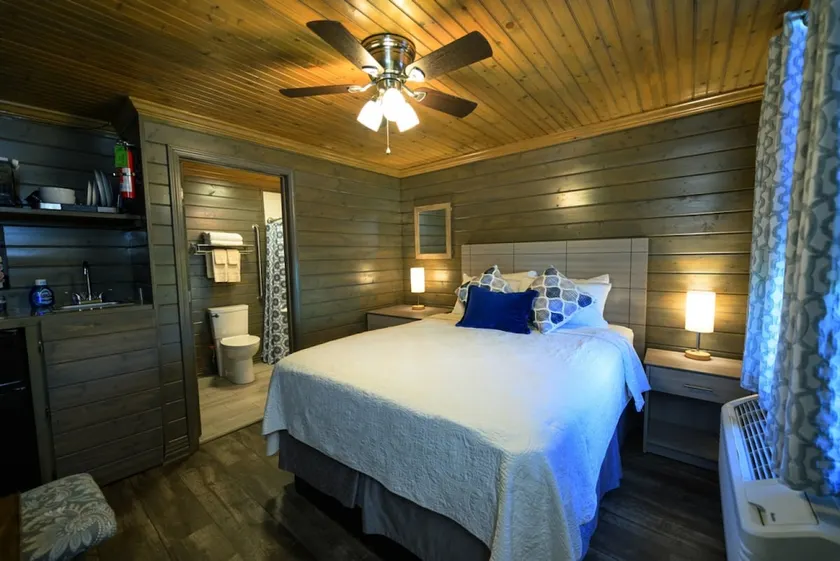 Serene cabin, relax and recharge! Great Internet! - Image 1