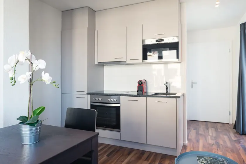 Zh Banana Iii - HITrental Wiedikon Apartments - Image 1