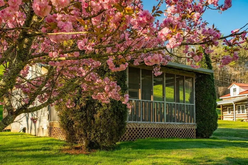 Cozy fishing cabin on the South Holston River - Image 1