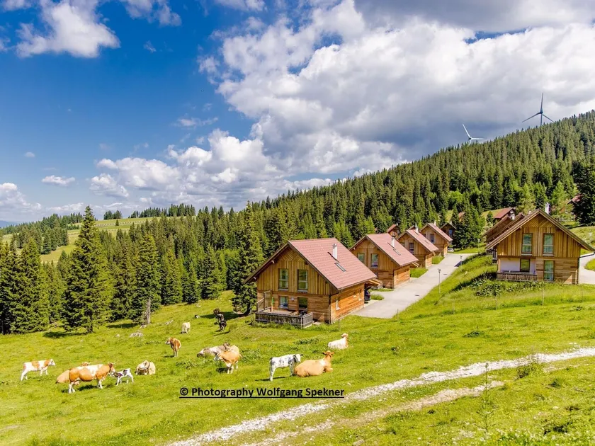 Beautiful vacation home with sauna on the wine plain - Image 1