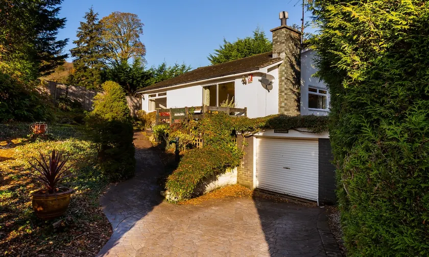 Nutwood - Image 1