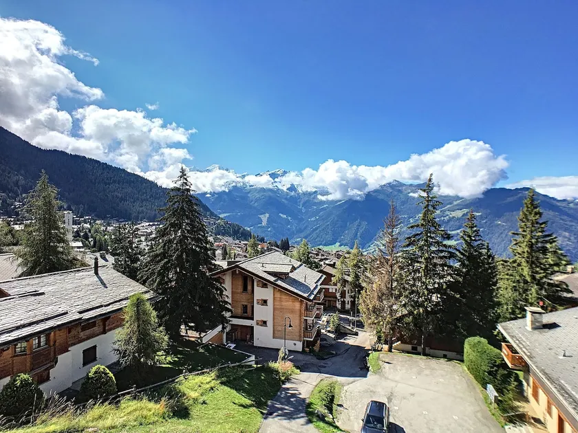 Tayannes 223 - Image 1