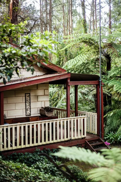 Spa Cottage@FernGlenForestRetreat - Image 1