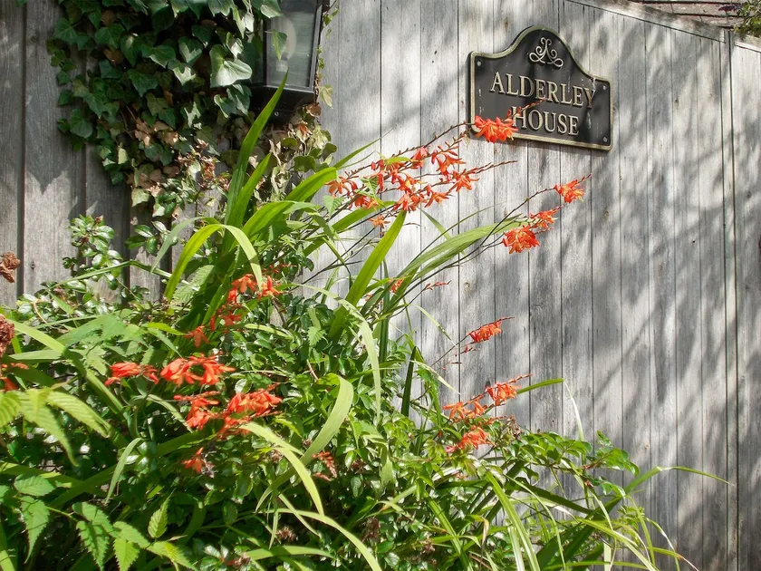 Alderley House - Image 1
