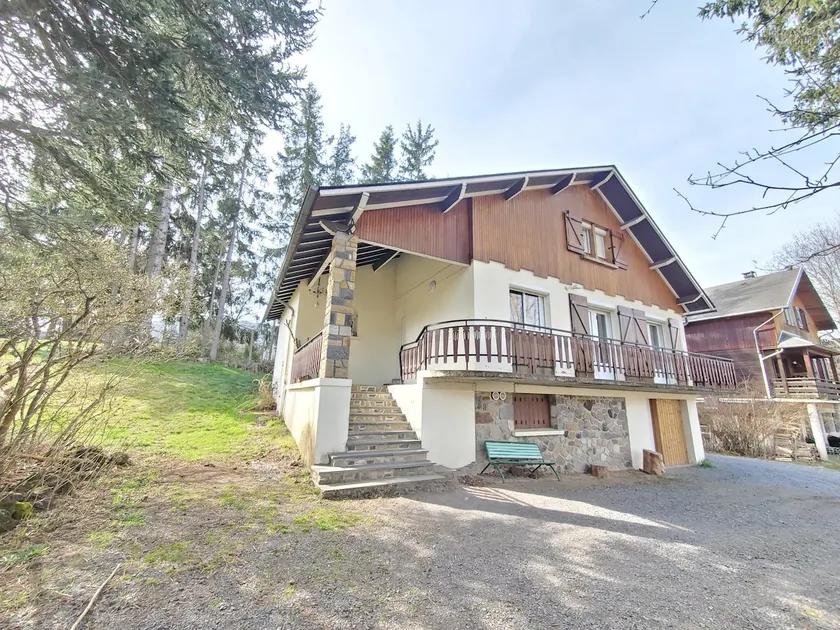 Piacevole chalet ai piedi del massiccio del Sancy - Image 1